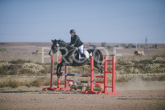 JJS_0848