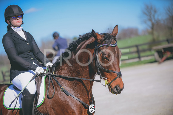 JJS_0641