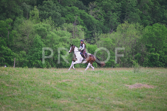 TLS_0698