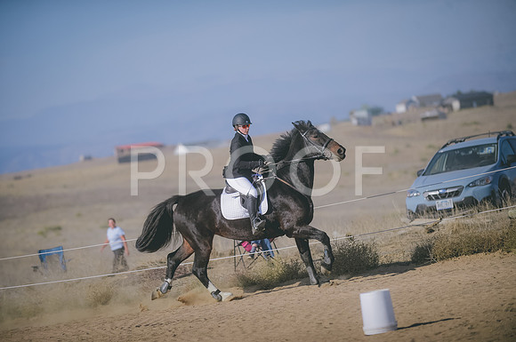 JJS_0784