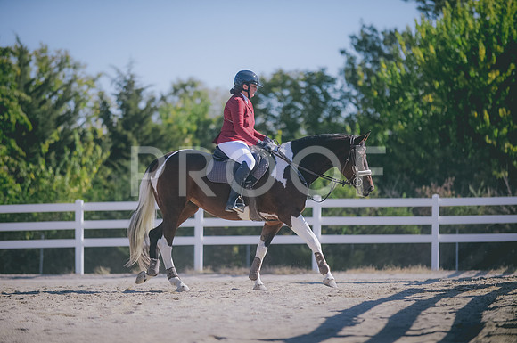 JJS_0124