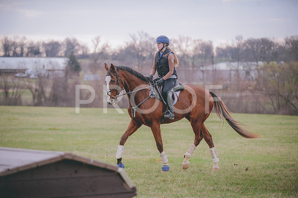 JJS_0338