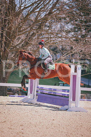 SNS_2015