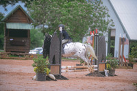 000_3809 copy