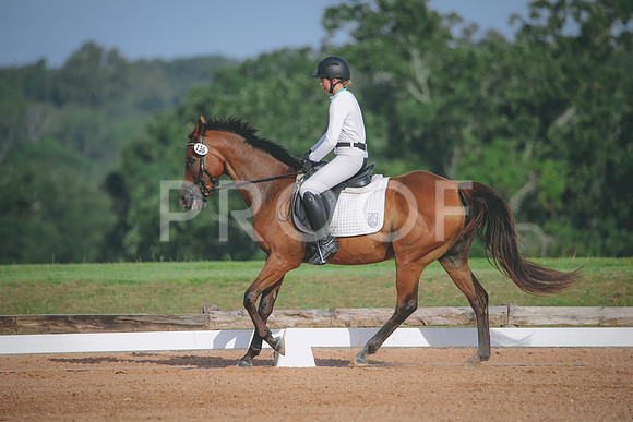 RWP_4457