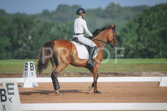 RWP_4462