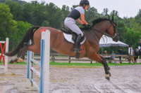 DSC_1921