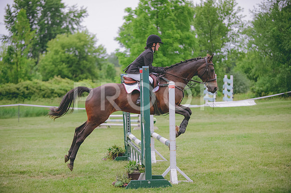 JJS_7841