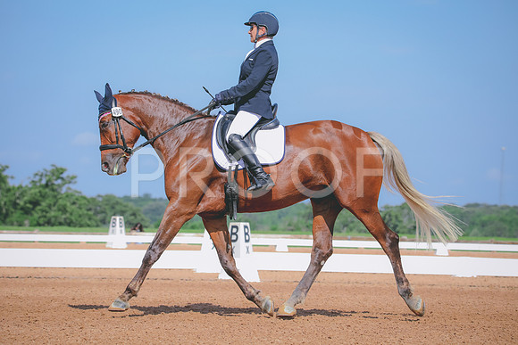 RWP_4001
