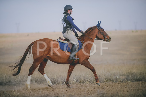 JJS_6269
