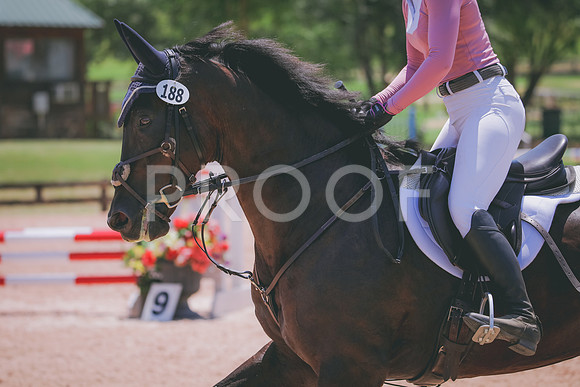 RWP_5635