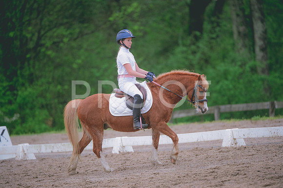 JJS_0633