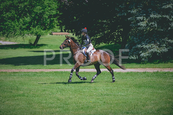 JJS_4033