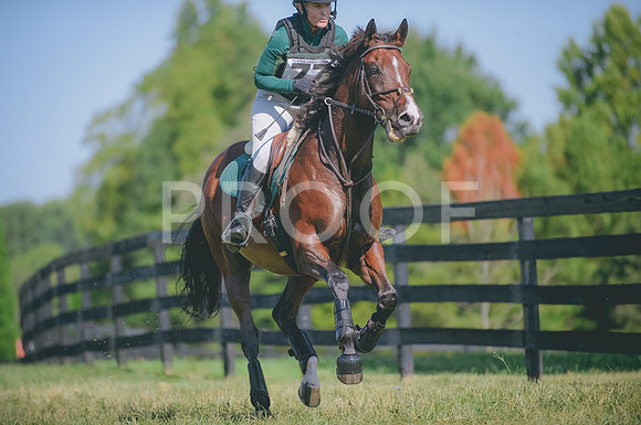 JJS_3463