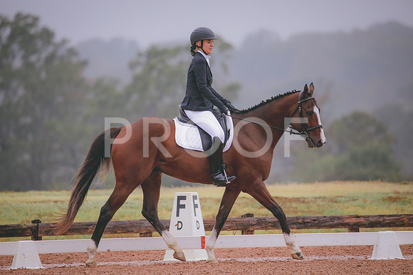 RWP_0929