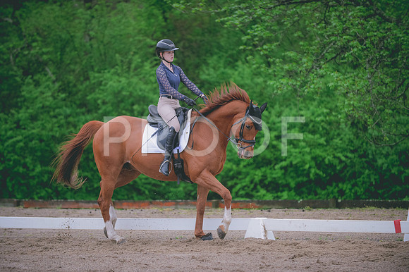 JJS_4913