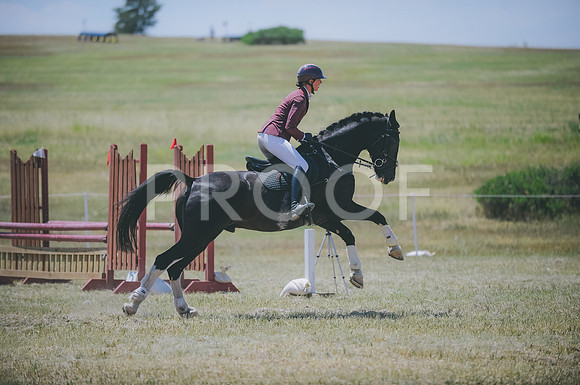 JJS_8610