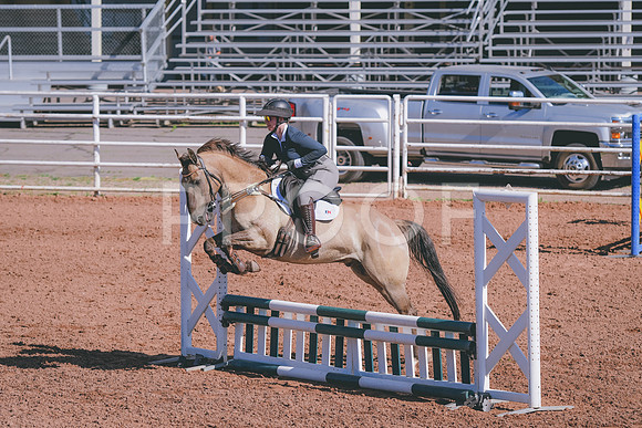 DSC_6603