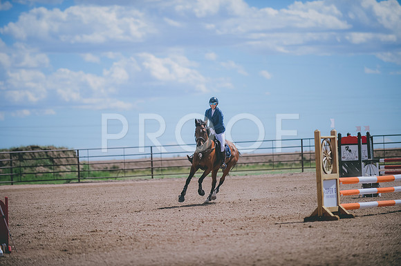 JJS_0991