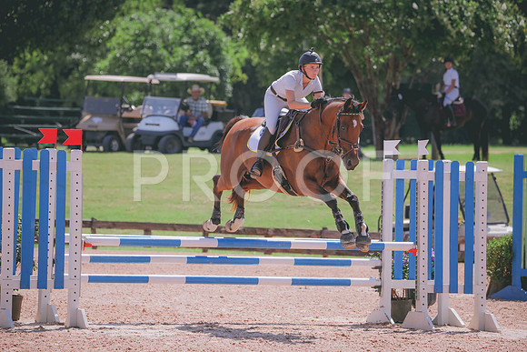 RWP_5268