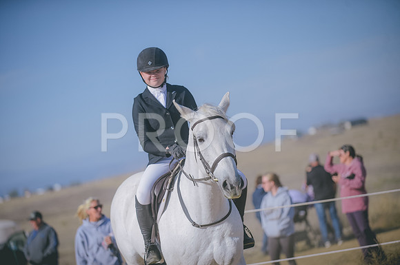 JJS_1546