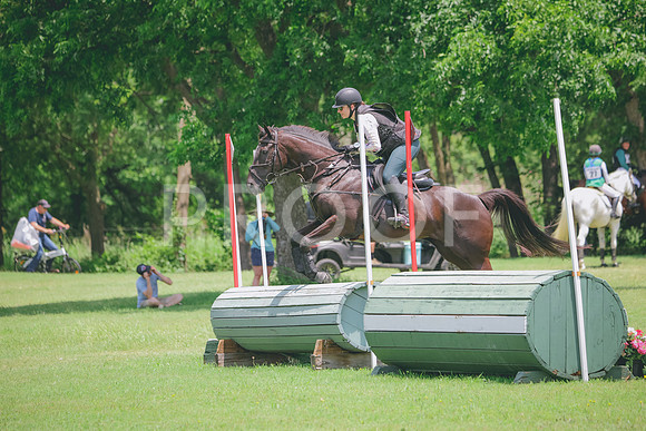 RWP_3010