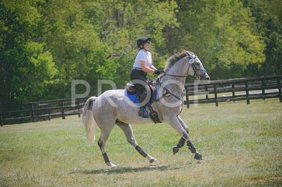 JJS_5428