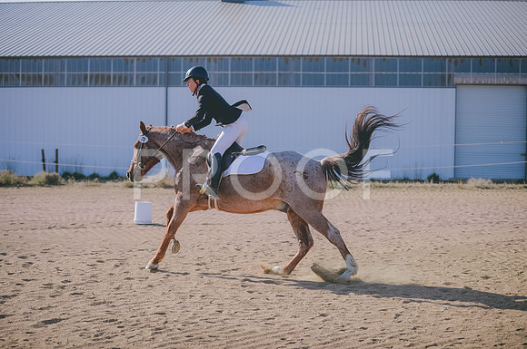 JJS_1408