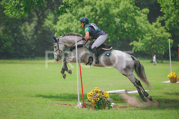 RWP_2009
