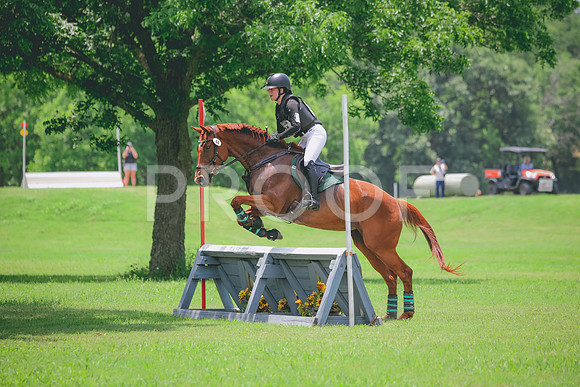 RWP_2993