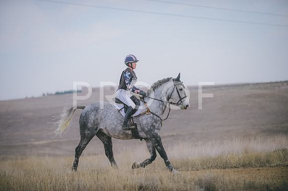 JJS_4043