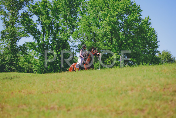 TKP_1213