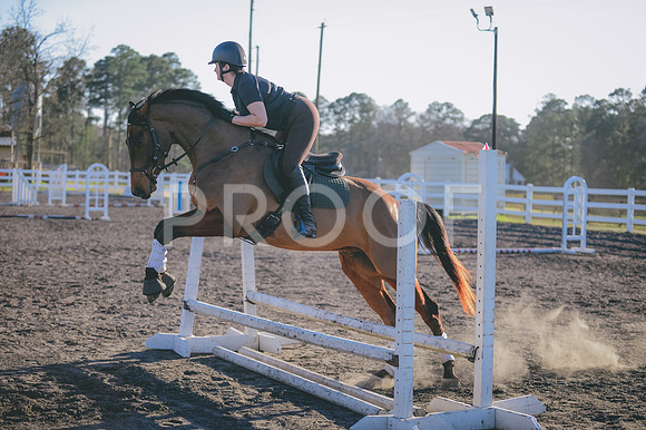 JJS_0895