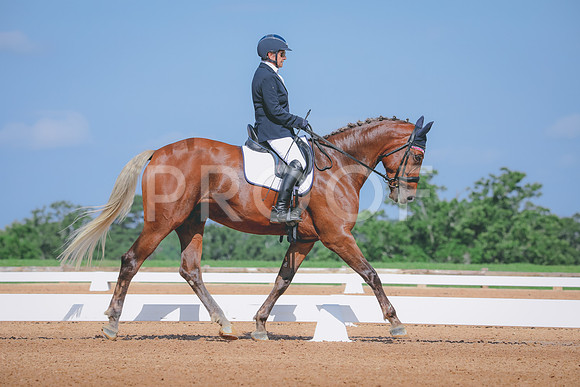 RWP_4003