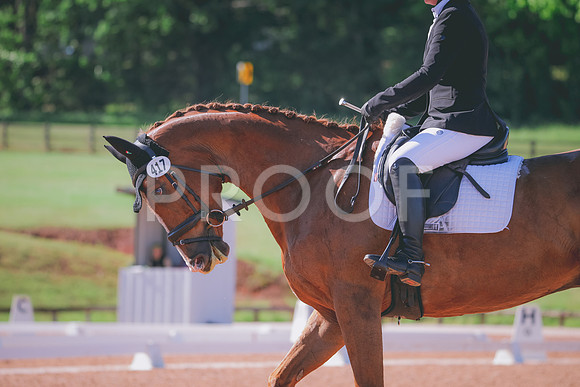 RWP_9634