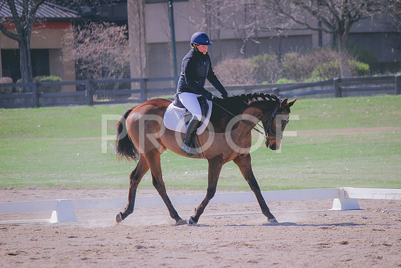 Canon EOS REBEL T3i (2418)