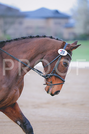 5U6A0435