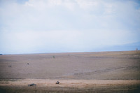JJS_0165