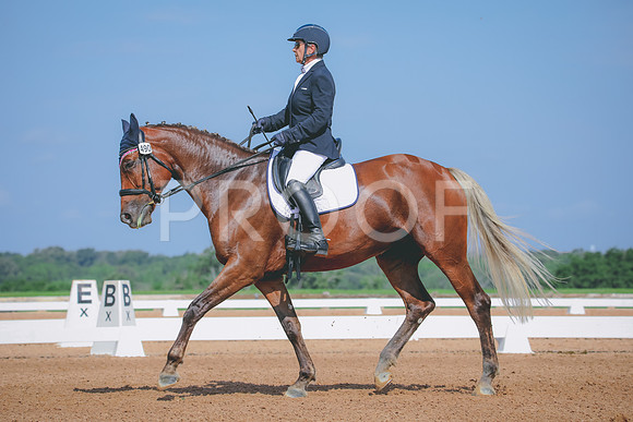 RWP_4031