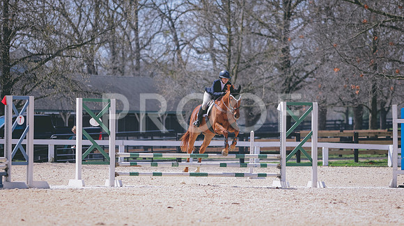 0N0A2499
