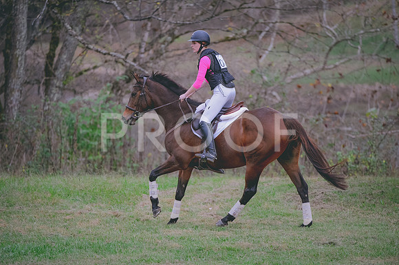 JJS_8378