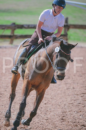 JJS_7168