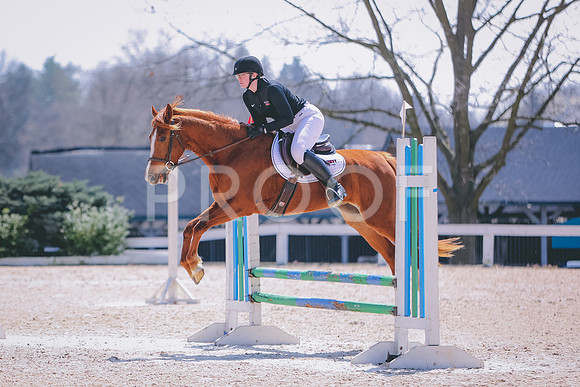 3T5A9596