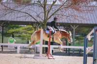3T5A9702