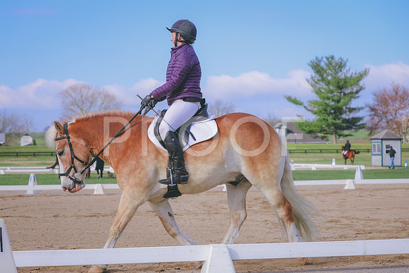 BH249251