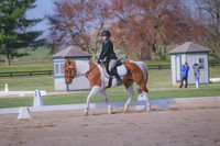 BH249392