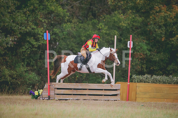 RWP_3842