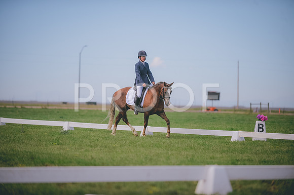 JJS_1447