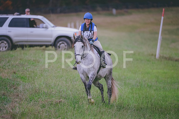 JJS_4590