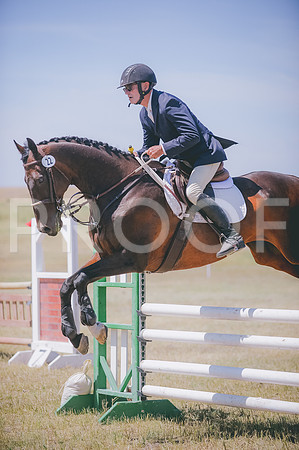 JJS_7216